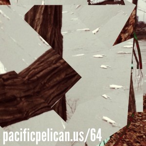 pacificpelican64podcast129artworkMarch2014