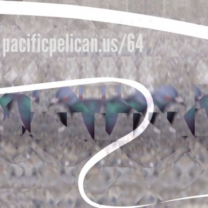 pacificpelican64Podcast132ARTWORKApril2014