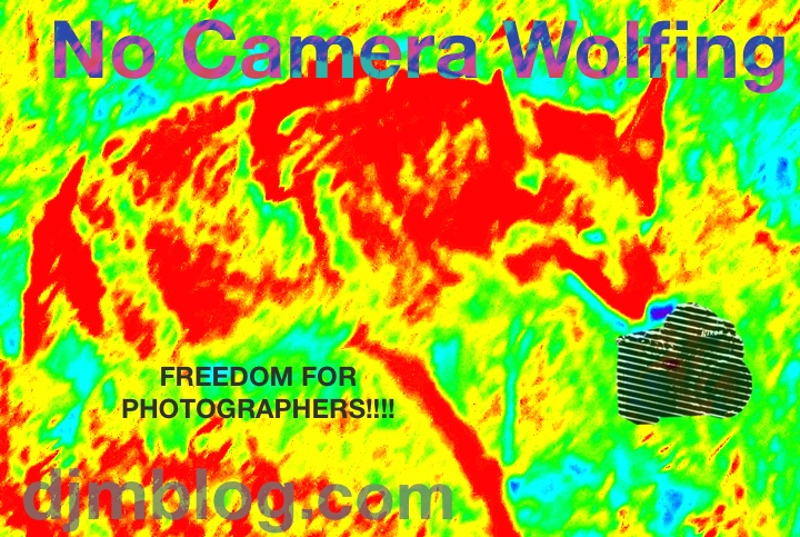 Camera wolfing (Podcast 154)